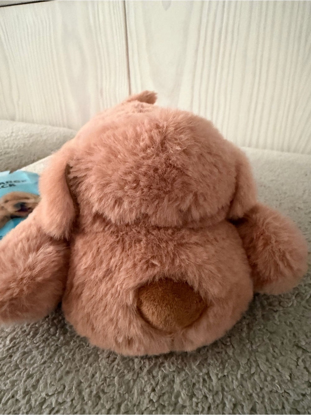 Plush Small Pet Toy - Soft Brown Puppy